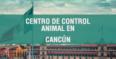 centro de control animal en Cancun 1