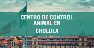 centro de control animal en Cholula 1