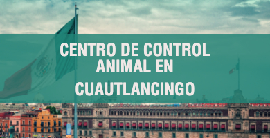 centro de control animal en Cuautlancingo 1