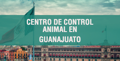 centro de control animal en Guanajuato 1