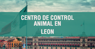 centro de control animal en Leon 1