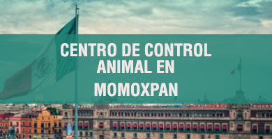 centro de control animal en Momoxpan 1
