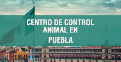 centro de control animal en Puebla 1