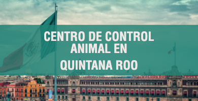 centro de control animal en Quintana Roo 1